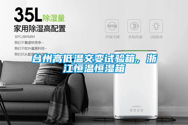 臺(tái)州高低溫交變?cè)囼?yàn)箱，浙江恒溫恒濕箱