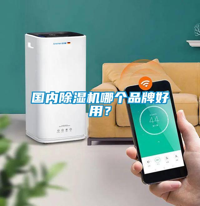 國內(nèi)除濕機(jī)哪個(gè)品牌好用？