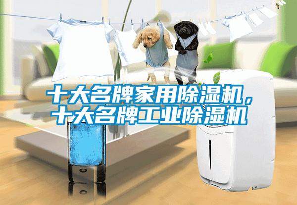 十大名牌家用除濕機(jī)，十大名牌工業(yè)除濕機(jī)