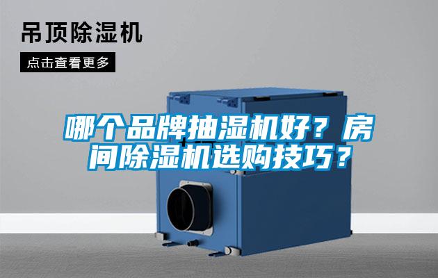 哪個品牌抽濕機(jī)好？房間除濕機(jī)選購技巧？
