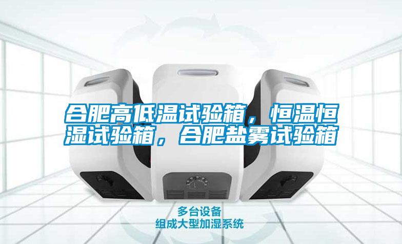 合肥高低溫試驗(yàn)箱，恒溫恒濕試驗(yàn)箱，合肥鹽霧試驗(yàn)箱