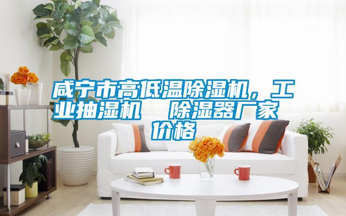 咸寧市高低溫除濕機(jī)，工業(yè)抽濕機(jī)  除濕器廠家 價(jià)格