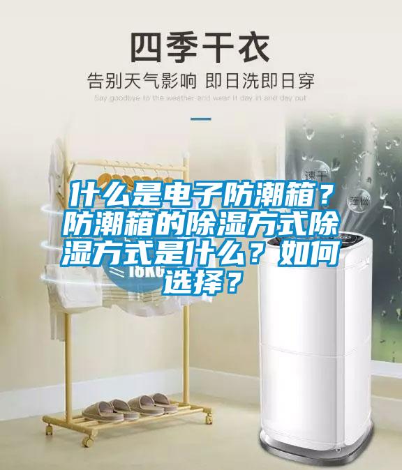 什么是電子防潮箱？防潮箱的除濕方式除濕方式是什么？如何選擇？