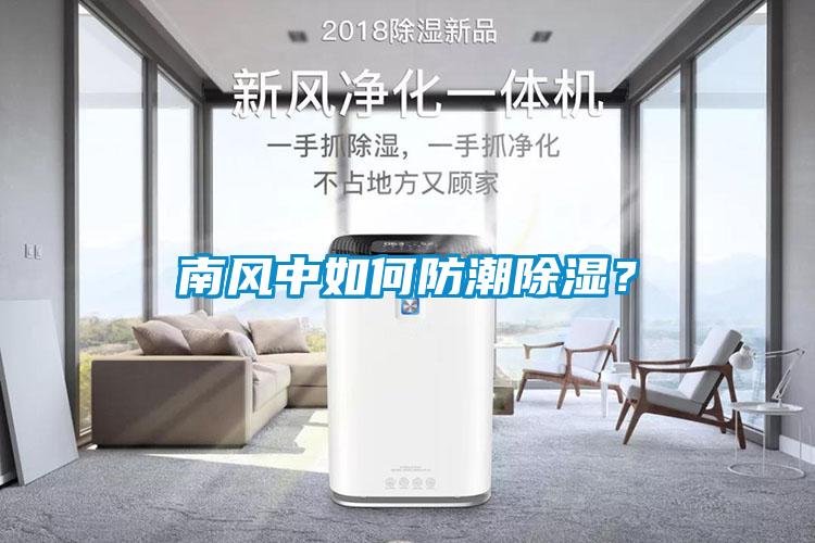 南風中如何防潮除濕？