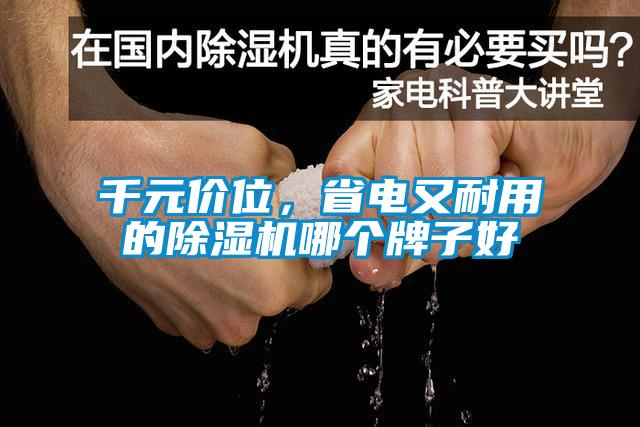 千元價位，省電又耐用的除濕機哪個牌子好