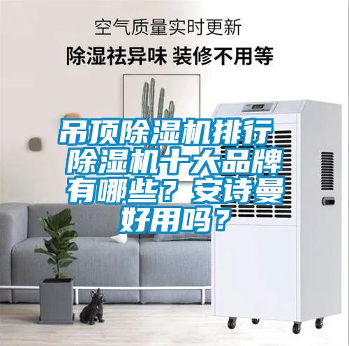 吊頂除濕機排行 除濕機十大品牌有哪些？安詩曼好用嗎？