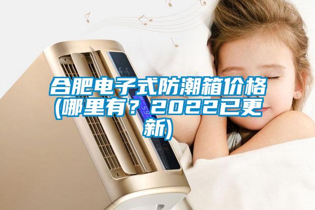 合肥電子式防潮箱價(jià)格(哪里有?2022已更新)