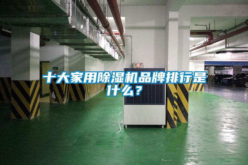十大家用除濕機(jī)品牌排行是什么？