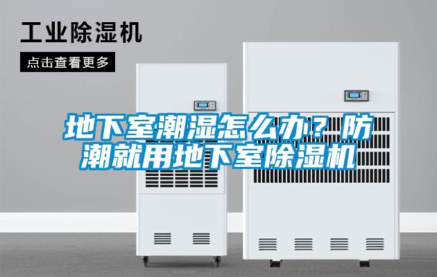 地下室潮濕怎么辦？防潮就用地下室除濕機