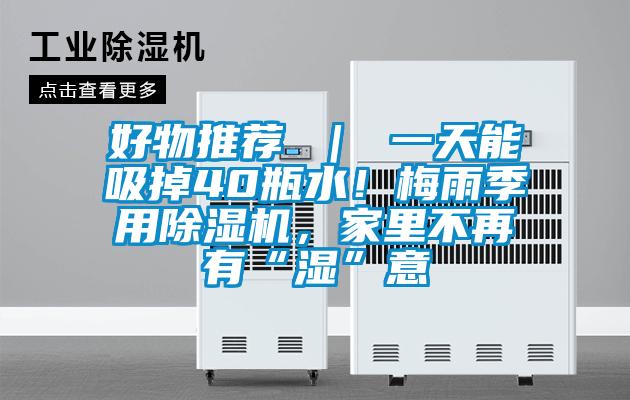 好物推薦 ｜ 一天能吸掉40瓶水！梅雨季用除濕機，家里不再有“濕”意