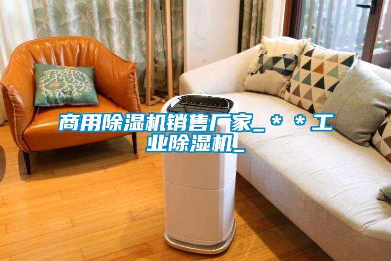 商用除濕機(jī)銷(xiāo)售廠(chǎng)家_＊＊工業(yè)除濕機(jī)_