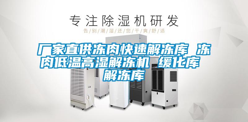 廠(chǎng)家直供凍肉快速解凍庫(kù) 凍肉低溫高濕解凍機(jī) 緩化庫(kù) 解凍庫(kù)