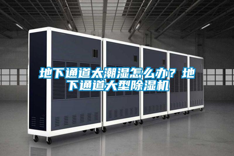 地下通道太潮濕怎么辦?地下通道大型除濕機(jī)