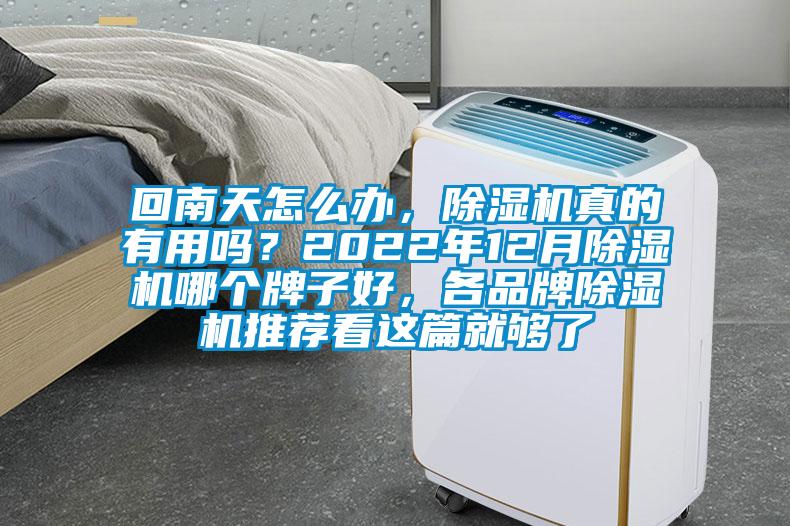 回南天怎么辦，除濕機真的有用嗎？2022年12月除濕機哪個牌子好，各品牌除濕機推薦看這篇就夠了