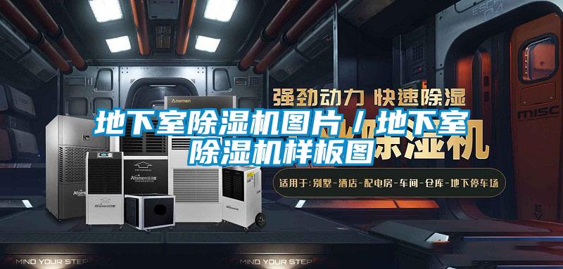 地下室除濕機(jī)圖片/地下室除濕機(jī)樣板圖