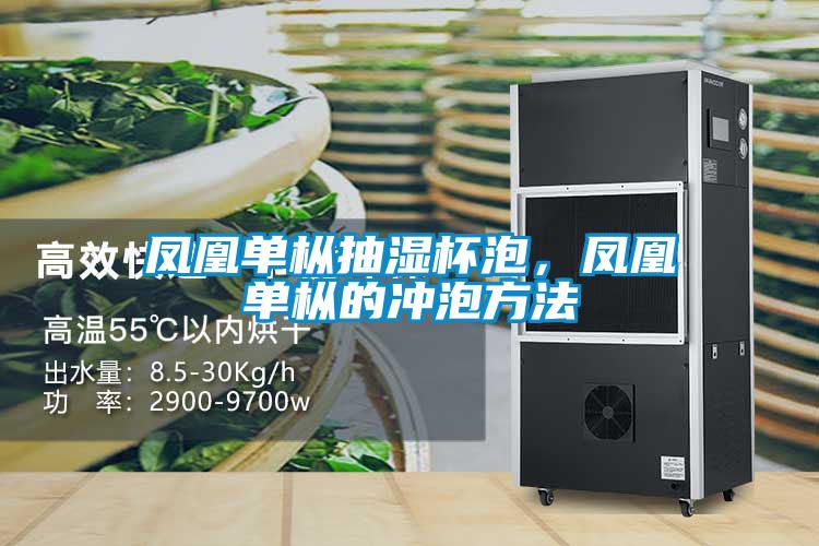 鳳凰單樅抽濕杯泡，鳳凰單樅的沖泡方法