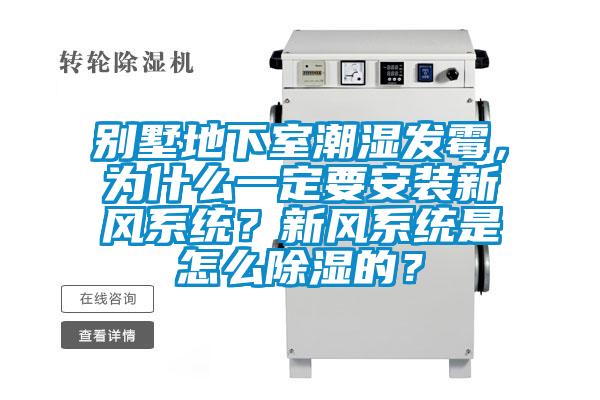 別墅地下室潮濕發(fā)霉，為什么一定要安裝新風(fēng)系統(tǒng)？新風(fēng)系統(tǒng)是怎么除濕的？
