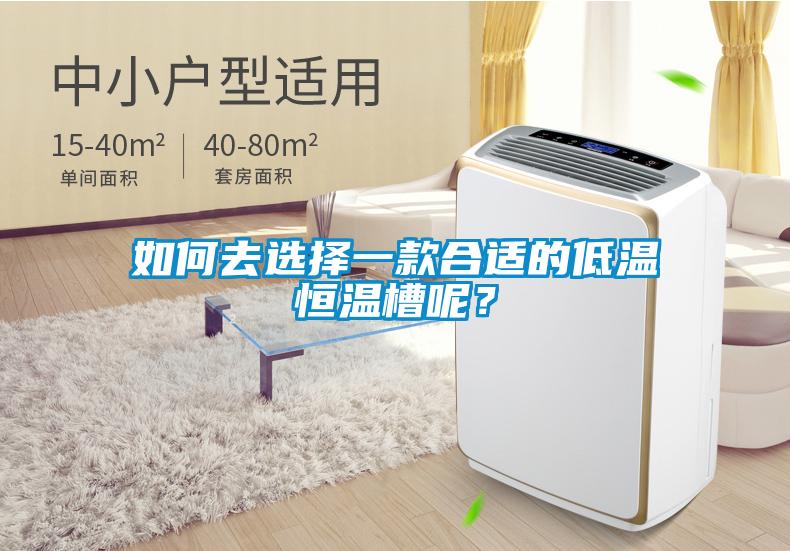 如何去選擇一款合適的低溫恒溫槽呢？