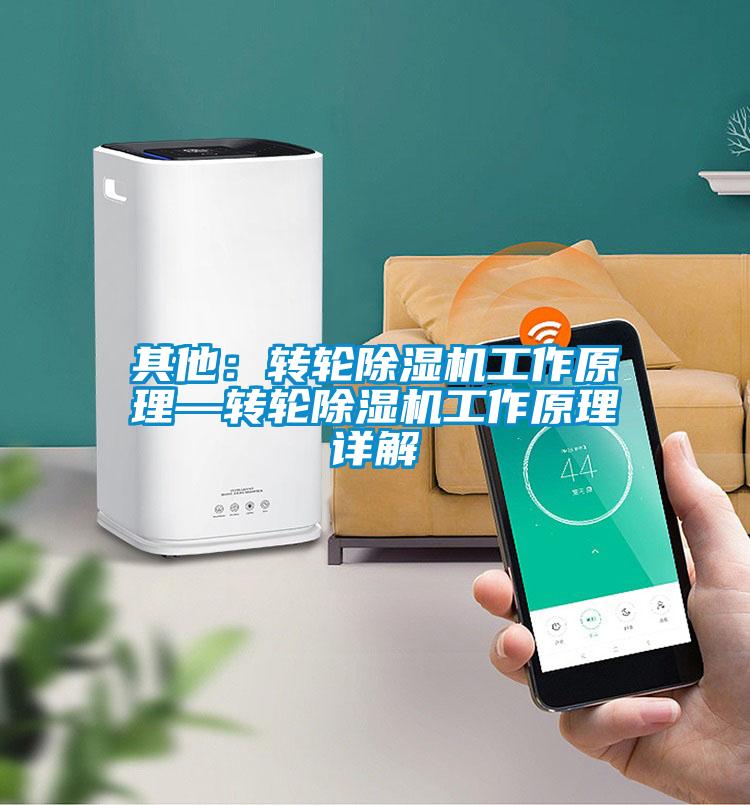 其他:轉(zhuǎn)輪除濕機(jī)工作原理—轉(zhuǎn)輪除濕機(jī)工作原理詳解