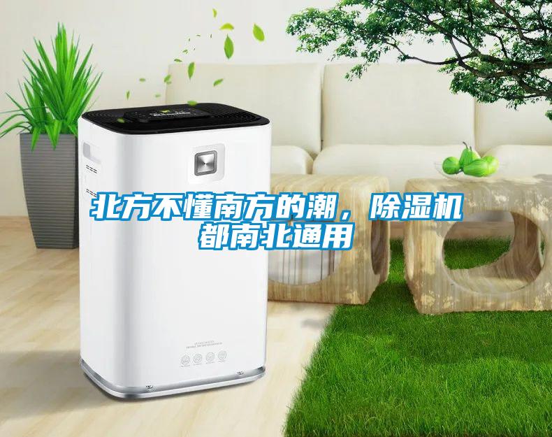 北方不懂南方的潮，除濕機(jī)都南北通用