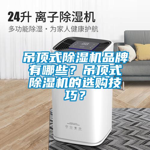 吊頂式除濕機品牌有哪些？吊頂式除濕機的選購技巧？