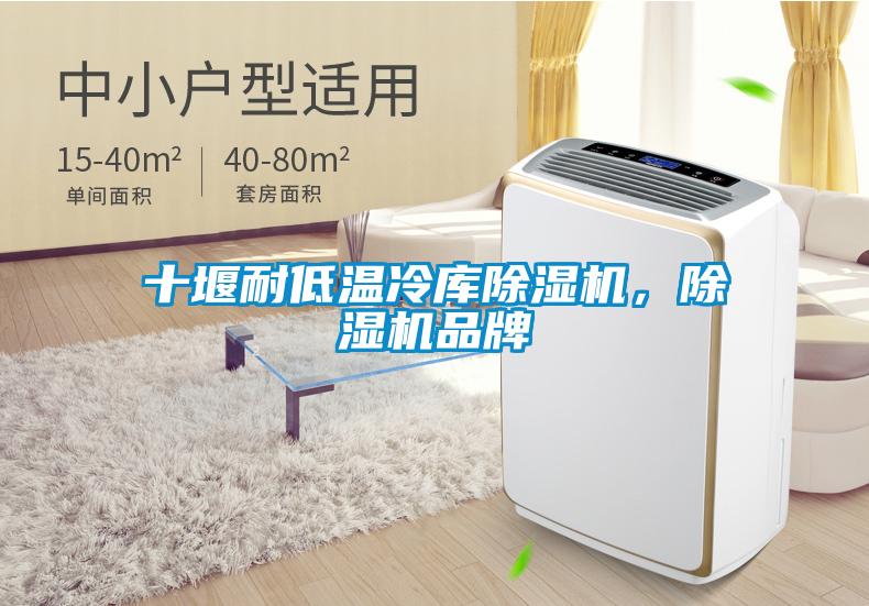十堰耐低溫冷庫除濕機，除濕機品牌