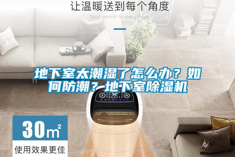 地下室太潮濕了怎么辦？如何防潮？地下室除濕機(jī)