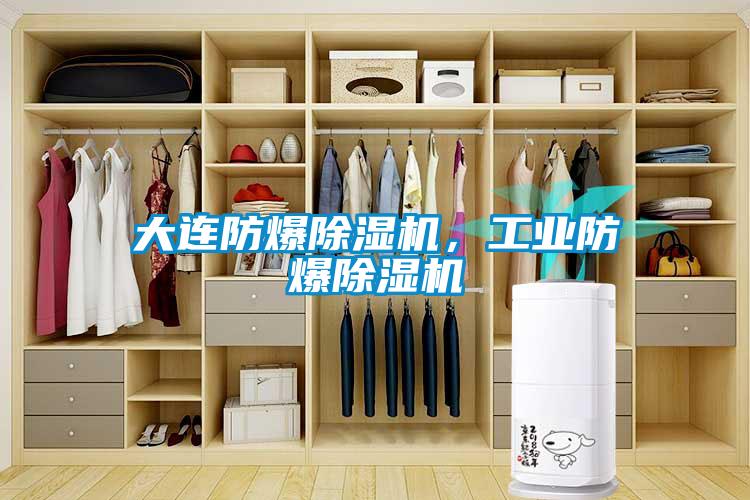 大連防爆除濕機(jī)，工業(yè)防爆除濕機(jī)