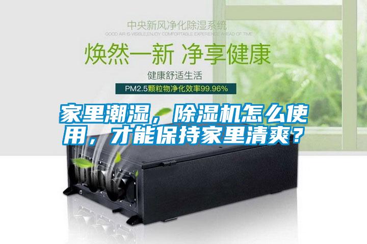 家里潮濕，除濕機怎么使用，才能保持家里清爽？