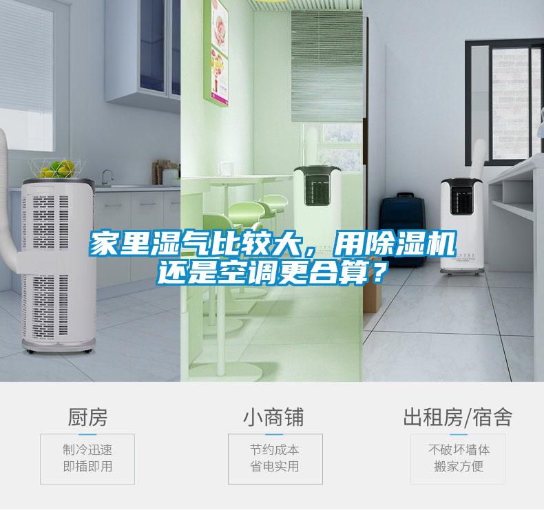 家里濕氣比較大，用除濕機(jī)還是空調(diào)更合算？
