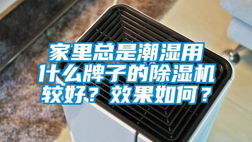 家里總是潮濕用什么牌子的除濕機較好？效果如何？