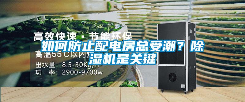 如何防止配電房總受潮？除濕機是關(guān)鍵