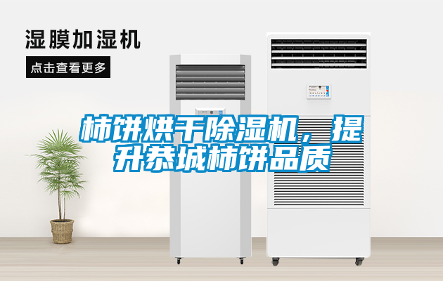 柿餅烘干除濕機，提升恭城柿餅品質(zhì)