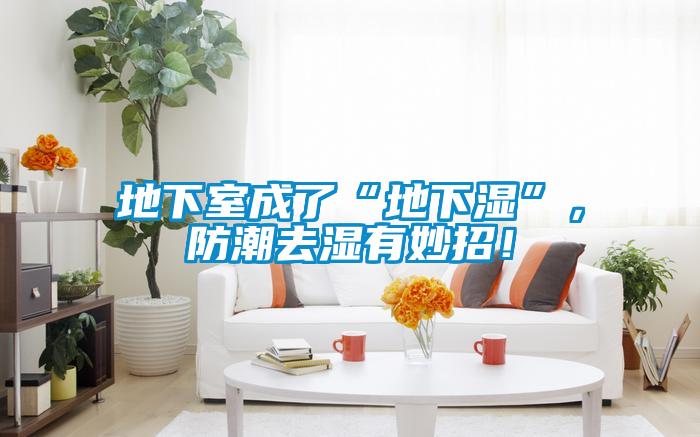 地下室成了“地下濕”，防潮去濕有妙招！