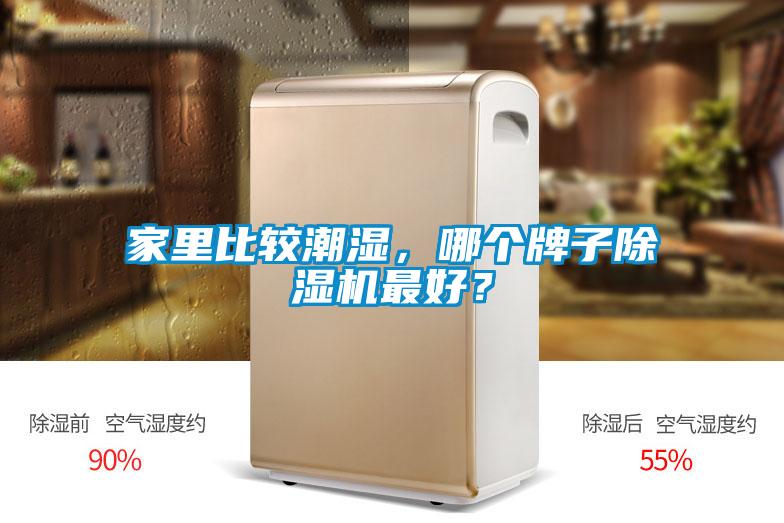 家里比較潮濕，哪個(gè)牌子除濕機(jī)最好？