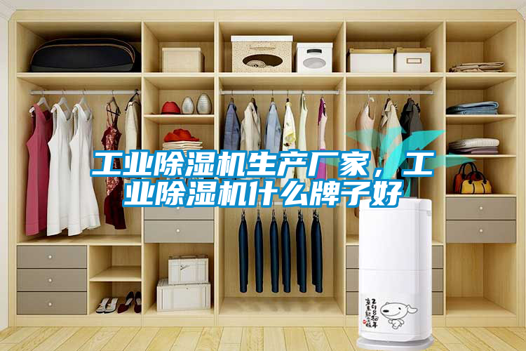 工業(yè)除濕機(jī)生產(chǎn)廠家，工業(yè)除濕機(jī)什么牌子好