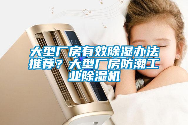 大型廠房有效除濕辦法推薦？大型廠房防潮工業(yè)除濕機(jī)