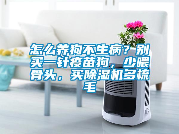怎么養(yǎng)狗不生??？別買(mǎi)一針疫苗狗，少喂骨頭，買(mǎi)除濕機(jī)多梳毛