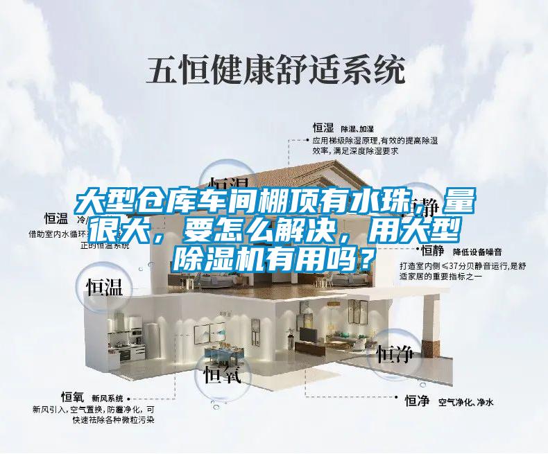 大型倉(cāng)庫(kù)車間棚頂有水珠，量很大，要怎么解決，用大型除濕機(jī)有用嗎？