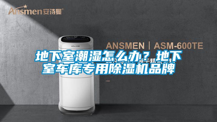 地下室潮濕怎么辦？地下室車庫專用除濕機(jī)品牌