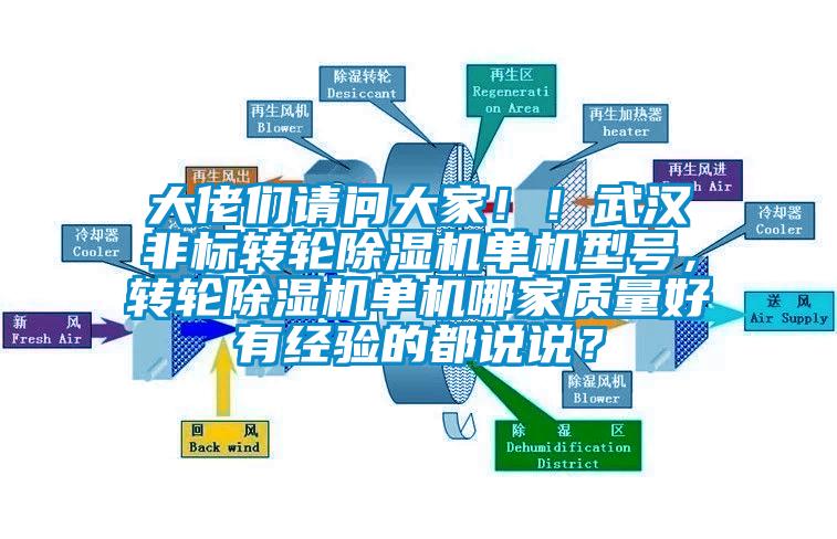 大佬們請(qǐng)問(wèn)大家??！武漢非標(biāo)轉(zhuǎn)輪除濕機(jī)單機(jī)型號(hào)，轉(zhuǎn)輪除濕機(jī)單機(jī)哪家質(zhì)量好有經(jīng)驗(yàn)的都說(shuō)說(shuō)？