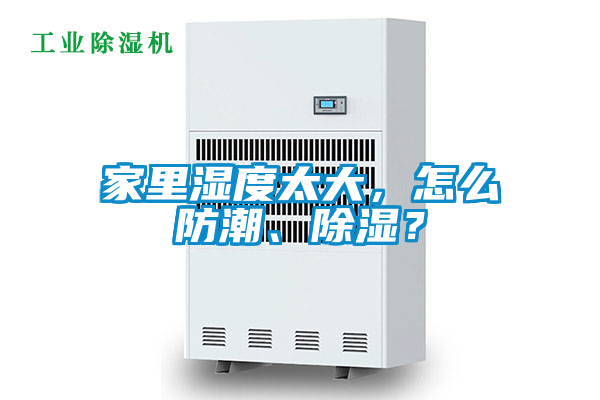 家里濕度太大，怎么防潮、除濕？