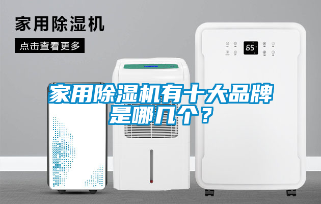 家用除濕機(jī)有十大品牌是哪幾個？
