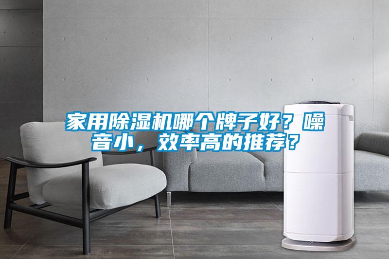 家用除濕機哪個牌子好？噪音小，效率高的推薦？