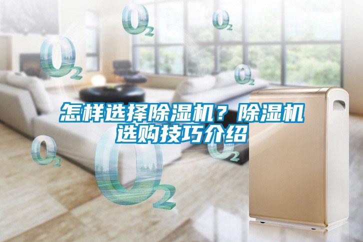 怎樣選擇除濕機？除濕機選購技巧介紹