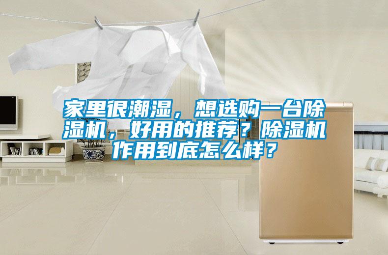 家里很潮濕，想選購(gòu)一臺(tái)除濕機(jī)，好用的推薦？除濕機(jī)作用到底怎么樣？