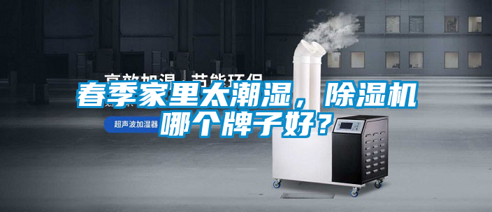 春季家里太潮濕，除濕機(jī)哪個(gè)牌子好？
