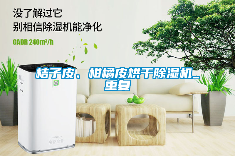 桔子皮、柑橘皮烘干除濕機(jī)_重復(fù)