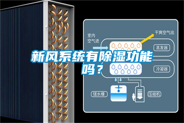 新風(fēng)系統(tǒng)有除濕功能嗎？