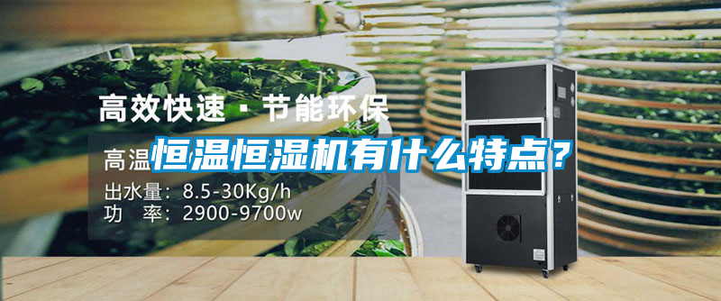 恒溫恒濕機有什么特點？